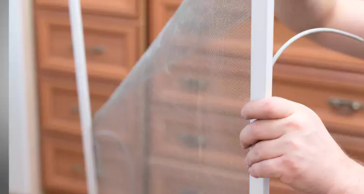 Privacy Mesh Screen Door Installation in Vero Beach South, FL